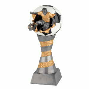 HR 204/3 Fotboll, 290 mm