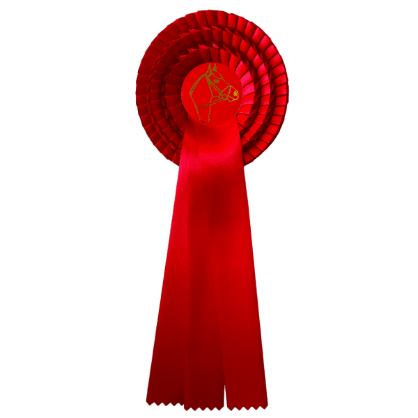 Rosett R14 - Bild 4