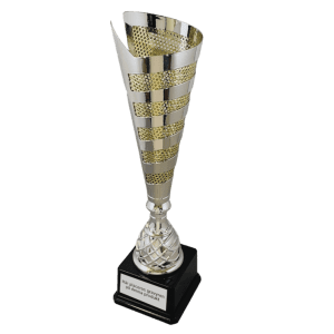 Pokal 13105